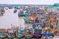 Tàu thuyền đánh bắt xa bờ tại Cà Mau. (Ảnh TTXVN)