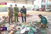 Ninh Bình tiêu hủy số lượng lớn hàng hóa vi phạm hành chính