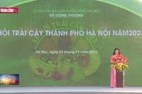 Kết nối tiêu thụ trái cây, nông sản các tỉnh, thành phố