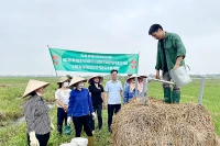Hướng dẫn kỹ thuật sản xuất phân bón hữu cơ cho nông dân huyện Lâm Thao, tỉnh Phú Thọ. (Ảnh ĐỨC THUẬN)