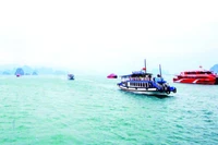 Vịnh Bái Tử Long, Vân Đồn có vẻ đẹp hoang sơ với hệ thống đảo đất sẽ là điểm đến hấp dẫn của du khách trong nước và quốc tế.