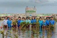 Ngày 8/11, Ban tổ chức Giải thưởng Hành động vì cộng đồng 2024 (Human Act Prize) đã công bố danh sách 32 dự án xuất sắc nhất sẽ vào Vòng chung khảo.