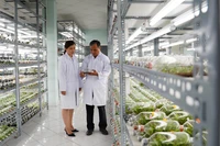 Phòng nuôi cấy mô hoa lan, Khu Nông nghiệp công nghệ cao Thành phố Hồ Chí Minh.