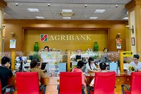 Khách hàng giao dịch tại chi nhánh Ngân hàng Agribank.