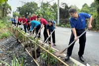Các bạn trẻ trồng cây, vệ sinh môi trường tại phường An Lạc, quận Bình Tân, Thành phố Hồ Chí Minh.