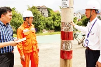 Một trong số cột điện ở giữa tuyến đường Bái Ðính-Ba Sao giai đoạn 2 đang được các cơ quan chức năng lên phương án di dời. (Ảnh Phương Thảo)
