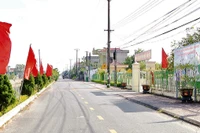 Huyện Yên Khánh lắp đặt 250km đường điện chiếu sáng, trồng 203km đường hoa, cây xanh trên các trục đường và ở các khu dân cư tạo cảnh quan. (Ảnh Anh Tuấn)