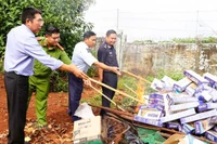 Lực lượng chức năng tỉnh Bình Phước thực hiện tiêu hủy thuốc lá nhập lậu thu giữ trên địa bàn. (Ảnh: LƯU QUYÊN)