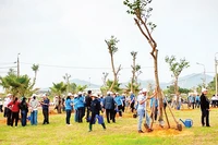 Quang cảnh lễ ra quân Tết trồng cây ở thành phố Đà Nẵng.