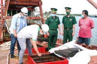 Lực lượng chức năng kiểm tra tàu cá TG90187TS vận chuyển dầu do không có hóa đơn chứng từ theo quy định. (Ảnh NINH NHÂM)
