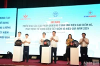 Các đại biểu thực hiện nghi thức phát động sử dụng điện tiết kiệm và hiệu quả năm 2024.