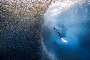 Ảnh: NGUYỄN NGỌC THIỆN