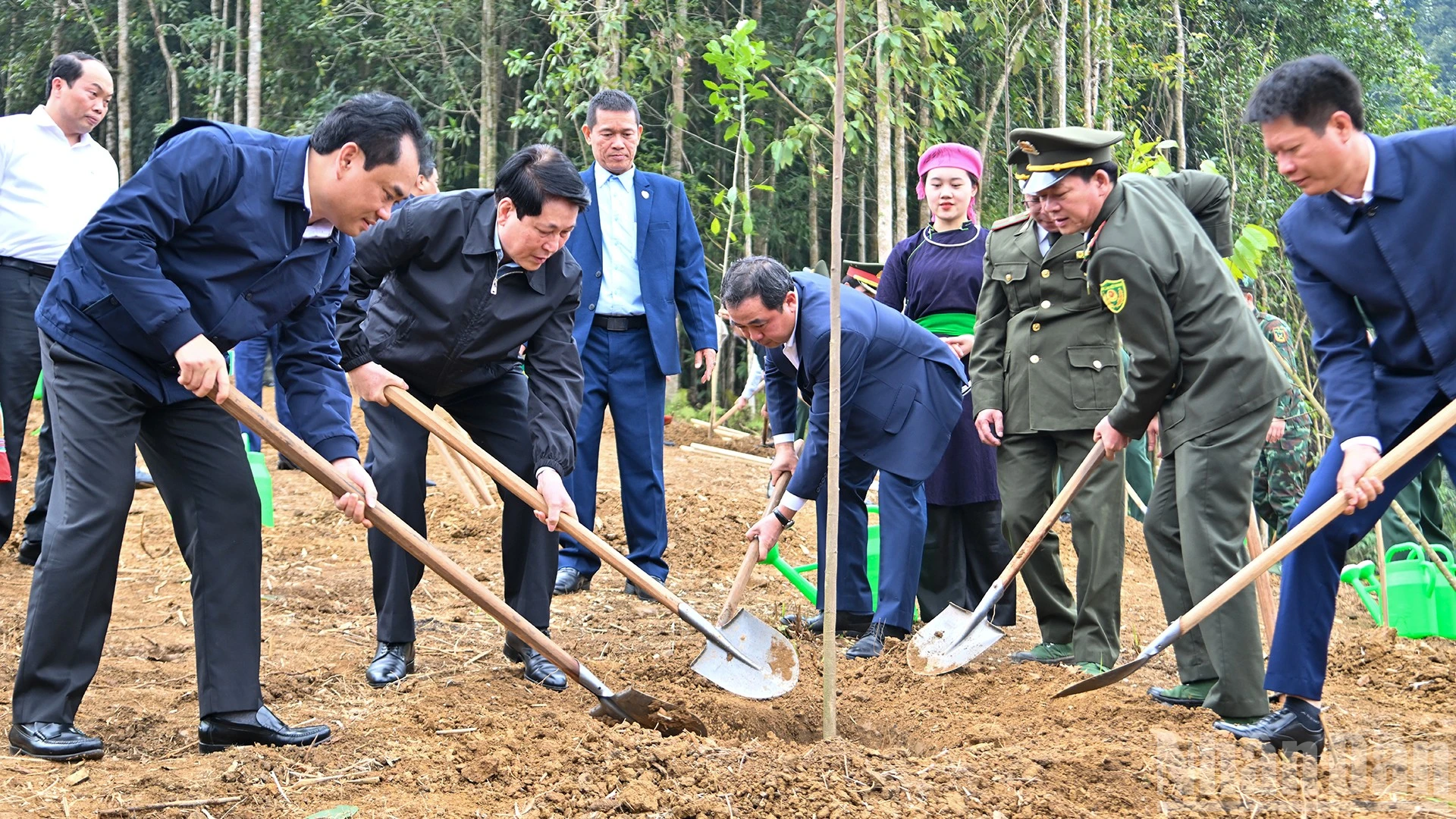 Chủ tịch nước Lương Cường phát động Tết trồng cây tại Lào Cai