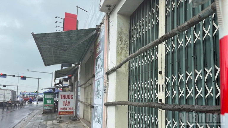 Người dân Đà Nẵng chằng chống nhà cửa, phòng, tránh bão số 12. (Ảnh: ANH ĐÀO) ndo_br_img-6084-684.jpg
