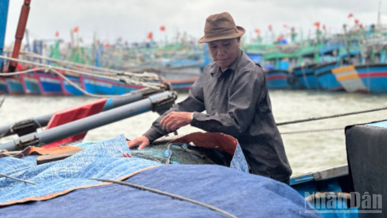 Ngư dân đưa tàu cá về nơi trú tránh bão an toàn. (Ảnh: ANH ĐÀO) ndo_br_img-6043-3723.jpg