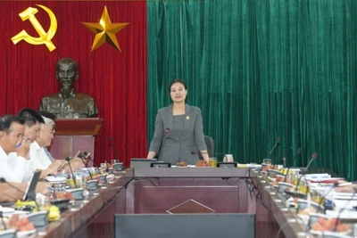 Đồng chí Bạch Liên Hương, Tổ trưởng Tổ công tác số 10 của thành phố Hà Nội hướng dẫn công tác sắp xếp các đơn vị hành chính cấp xã.