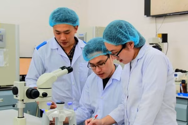 Hoạt động nghiên cứu khoa học tại Đại học quốc gia Thành phố Hồ Chí Minh.