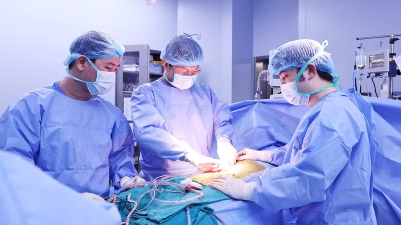 Các bác sĩ tiến hành ghép thận cho bệnh nhân. 