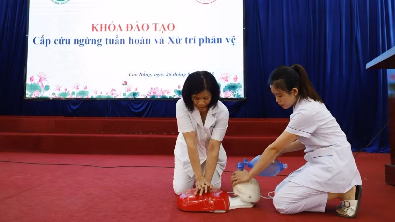 Nhân viên y tế tham gia khóa đào tạo cấp cứu ngừng tuần hoàn và xử trí phản vệ. 