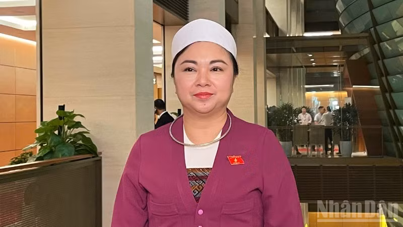 Đại biểu Đặng Bích Ngọc, Phó Trưởng Đoàn đại biểu Quốc hội tỉnh Phú Thọ.