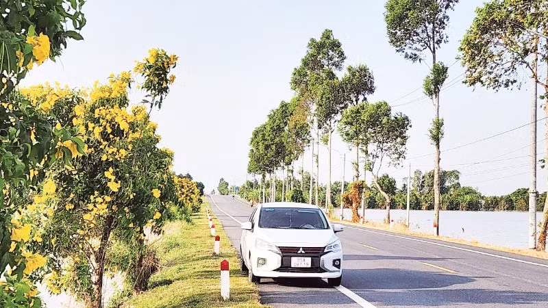 Nhiều tuyến đường đẹp trên địa bàn thành phố Cần Thơ được xây dựng góp phần nâng cao đời sống vật chất, tinh thần cho người dân địa phương.