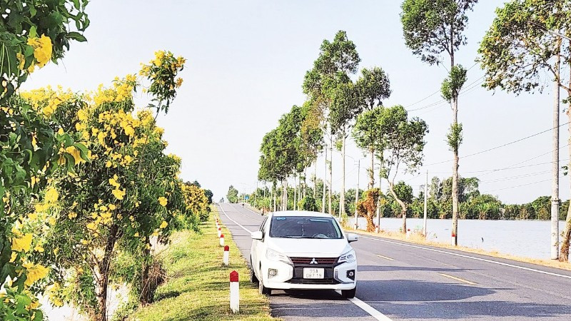Nhiều tuyến đường đẹp trên địa bàn thành phố Cần Thơ được xây dựng góp phần nâng cao đời sống vật chất, tinh thần cho người dân địa phương.