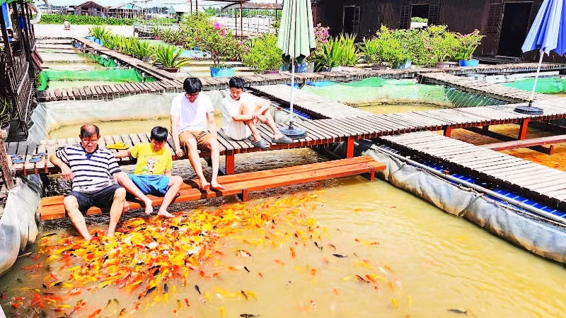 Du khách trải nghiệm tại cồn Sơn.