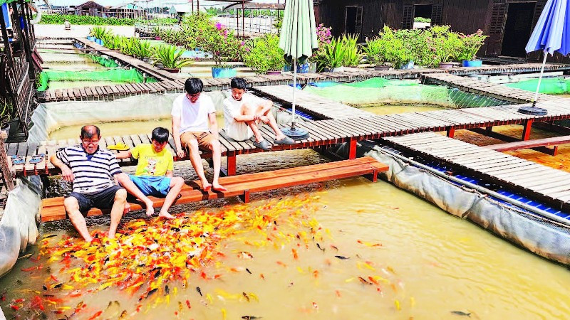 Du khách trải nghiệm tại cồn Sơn.