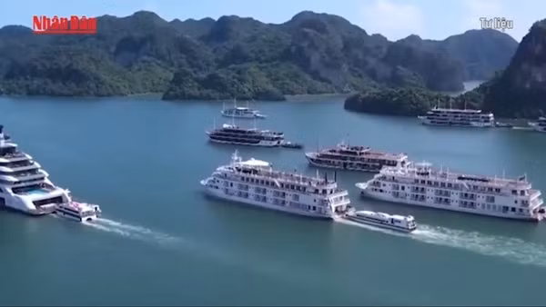 [Video] Lắp đặt thiết bị thông tin liên lạc AIS trên tất cả tàu du lịch tại Vịnh Hạ Long 