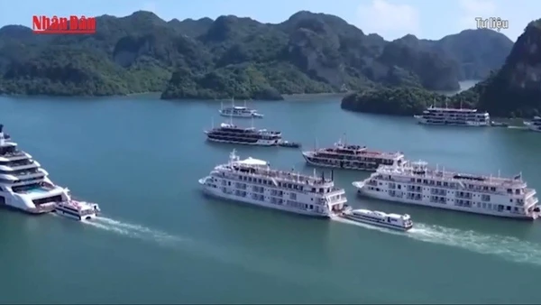 [Video] Lắp đặt thiết bị thông tin liên lạc AIS trên tất cả tàu du lịch tại Vịnh Hạ Long 