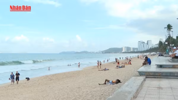 [Video] Từ ngày 25/8 sẽ thu phí tham quan vịnh Nha Trang 