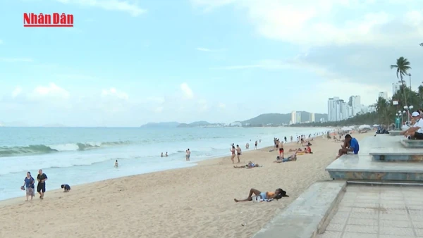 [Video] Từ ngày 25/8 sẽ thu phí tham quan vịnh Nha Trang 