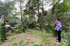 Khám nghiệm hiện trường vụ việc.