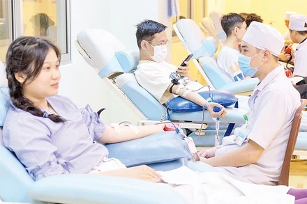 Các thành viên Câu lạc bộ vận động hiến máu tình nguyện tham gia hiến máu.