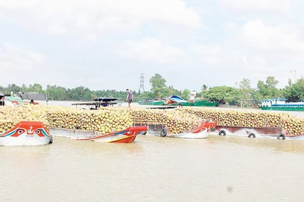 Nhiều phương tiện ghe chở hàng hóa nông sản neo đậu trên tuyến sông Đức Mỹ chờ cống thủy lợi Cái Hóp, xã Nhị Long, Vĩnh Long mở cửa để lưu thông.