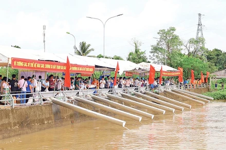 Hoạt động thả cá về tự nhiên nhằm đa dạng nguồn lợi thủy sản được tổ chức tại thành phố Cần Thơ.