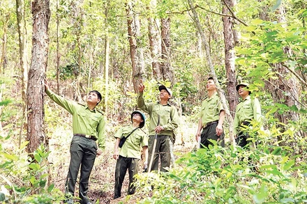 Lực lượng kiểm lâm Vĩnh Phúc tuần tra rừng.