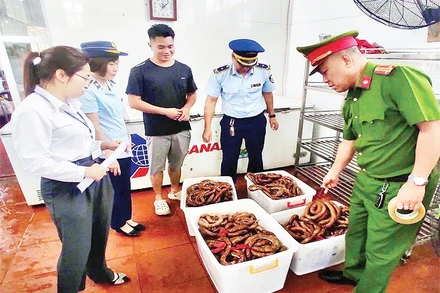 Lực lượng liên ngành kiểm tra hộ kinh doanh Trần Đức Lương ở phường Hà Phong, thành phố Hạ Long vi phạm bán thực phẩm đông lạnh không có nguồn gốc, xuất xứ.