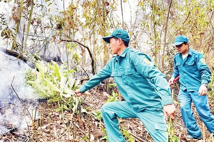 Lực lượng kiểm lâm tỉnh Thái Nguyên thường xuyên diễn tập phòng cháy, chữa cháy rừng.