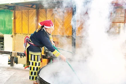 Mô hình tắm lá thuốc của người Dao xã Tả Phìn mang lại thu nhập ổn định cho chị em phụ nữ.