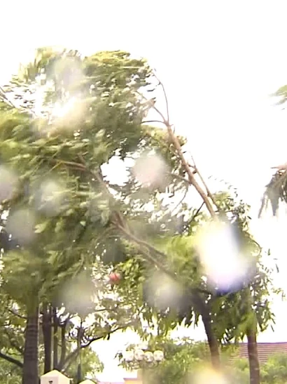 [Video] Bão năm 2026 có thể ít hơn, nhưng khó dự báo