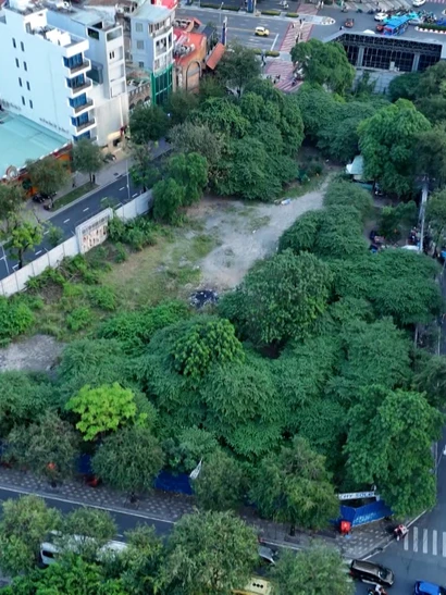 [Video] TP Hồ Chí Minh xây công viên tạm thời ở các khu đất vàng