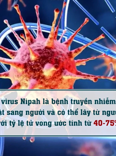 [Video] Phòng, chống dịch bệnh do virus Nipah ngay tại các cửa khẩu