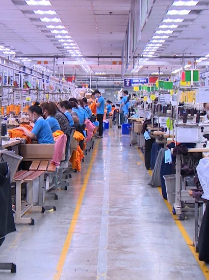 [Video] Dự báo thời kỳ dân số vàng của Việt Nam sẽ kết thúc vào năm 2036