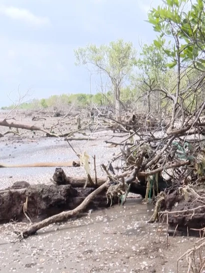 [Video] Đầu tư hơn 330 tỷ đồng chống xói lở bờ biển Gò Công