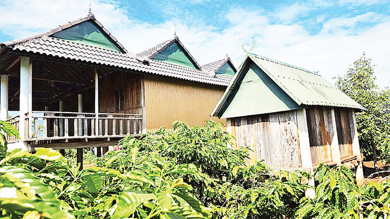 Kho lúa của một gia đình ở làng Ia Mơ Nông (xã Ia Ly, huyện Chư Păh) được xây dựng khang trang cùng với nhà ở.