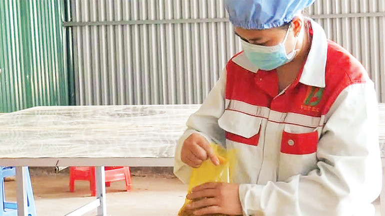 Công nhân chế biến, đóng gói các sản phẩm từ quế.