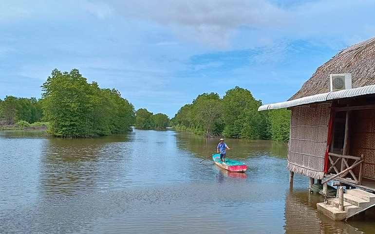 Một góc rừng ngập mặn Mũi Cà Mau.
