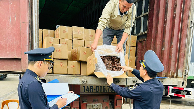 Hải quan Chi cục Cửa khẩu Hoành Mô (Bình Liêu, Quảng Ninh) kiểm tra hàng hóa xuất, nhập khẩu trước khi thông quan. (Ảnh LƯƠNG QUANG THỌ)