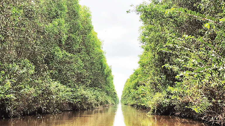 Khu bảo tồn loài - sinh cảnh rừng tràm Mỹ Phước là khu rừng có diện tích lớn nhất tỉnh Sóc Trăng. Khu bảo tồn loài - sinh cảnh rừng tràm Mỹ Phước là khu rừng có diện tích lớn nhất tỉnh Sóc Trăng.